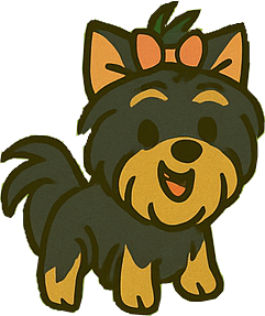 Daisy the teacup Yorkie, black and tan, cheerful face